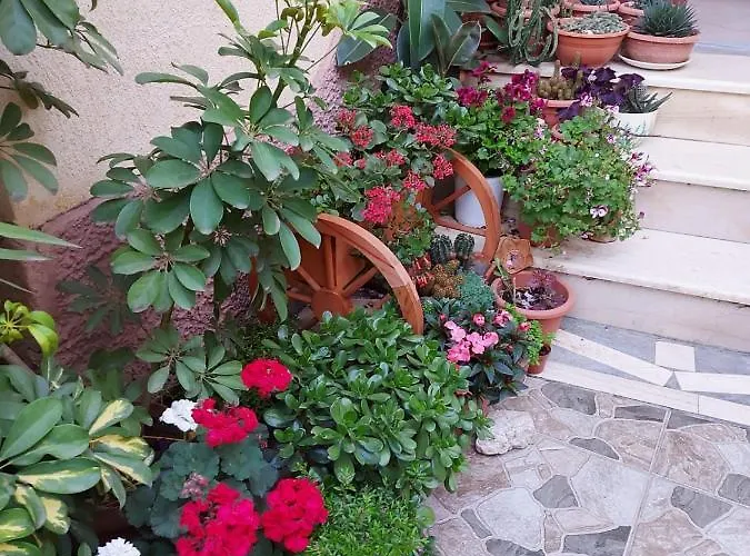 Kodra Τίρανα