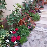 Kodra Tirana