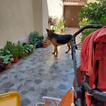 Kodra Bed & Breakfast