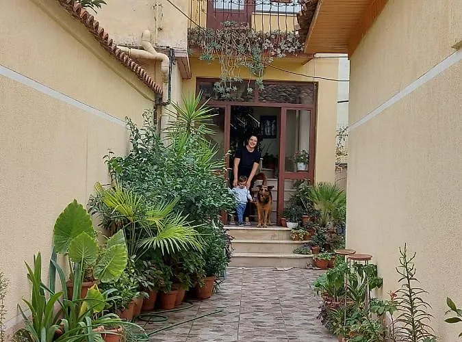 Kodra *